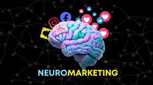 Brand, Neuromarketing Analyzes...